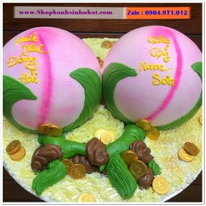Bánh Sinh Nhật Bựa Hài Hước - IA35